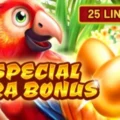 Special Ara Bonus