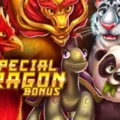 Special Dragon Bonus 3×3