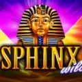 Sphinx Wild