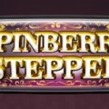 Spinberry Stepper