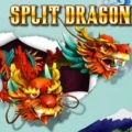 Split Dragon
