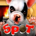 Spot