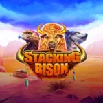 Stacking Bison