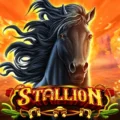 Stallion