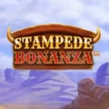 Stampede Bonanza