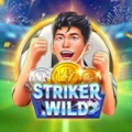 Striker Wild