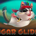Sugar Glider