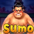Sumo