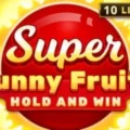 Super Sunny Fruits: Hold and Win