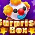 Surprise Box