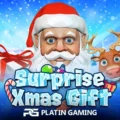Surprise Xmas Gift