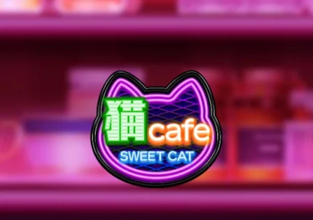 Sweet Cat Cafe