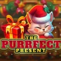 The Purrfect Present