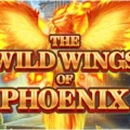 The Wild Wings of Phoenix