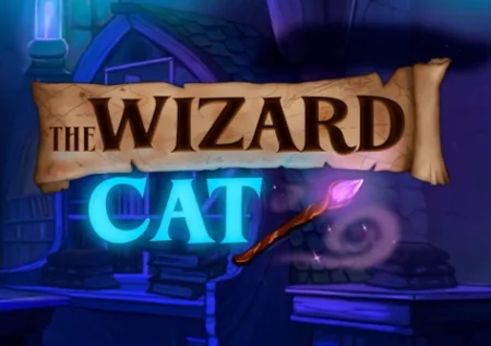 The Wizard Cat