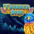 Thunder Bird