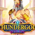 Thundergod Wilds