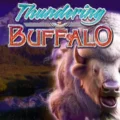Thundering Buffalo