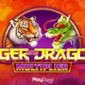Tiger and Dragon Multiplier