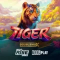 Tiger DoubleMax