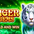Tiger Gems