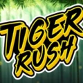 Tiger Rush