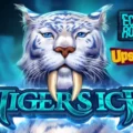 Tiger’s Ice