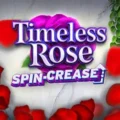 Timeless Rose