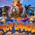 Top Dawgs
