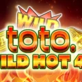 Toto Wild Hot 40
