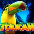 Toucan