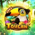 Toucan