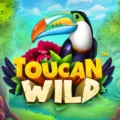 Toucan Wild