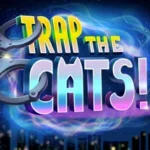 Trap the Cats