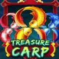 Treasure Carp