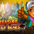 Treasure of the Wild Bears