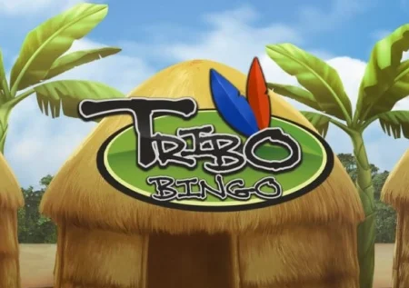 Tribo Bingo
