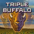 Triple Buffalo