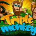 Triple Monkey