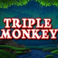 Triple Monkey