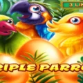 Triple Parrot