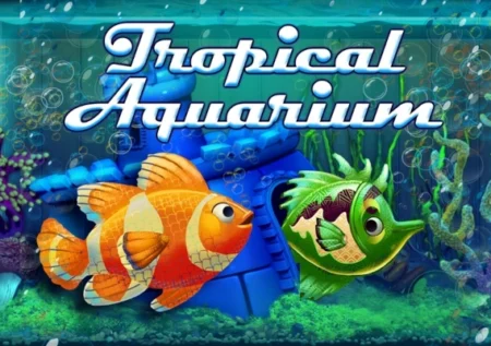 Tropical Aquarium
