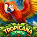 Tropicana Fruits