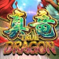 True Dragon