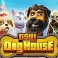 TSILI Dog House