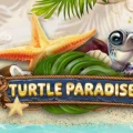 Turtle Paradise