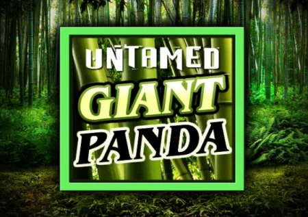 Untamed Giant Panda