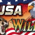 USA Wild