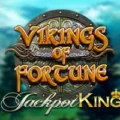 Vikings of Fortune