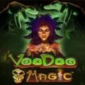 Voodoo Magic